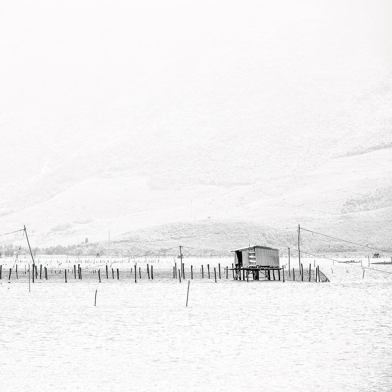Fish Farm in the Mist, Lăng Cô