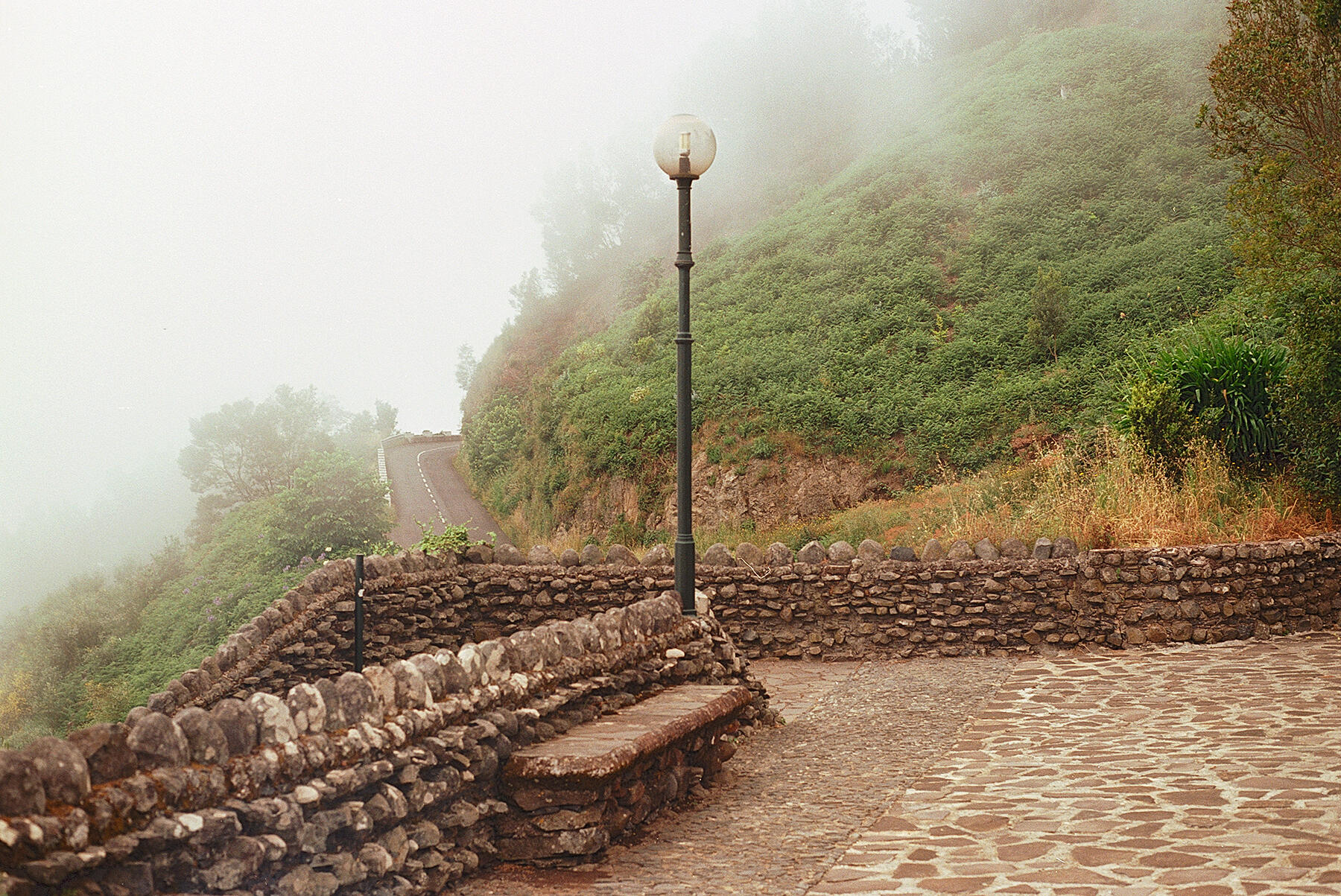 Lamp in the Mist | Madeira, Portugal 2026 Kodak Ektar 100